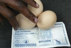 hundred-billion-dollars-and-eggs
